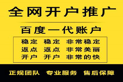 SEM服务案例：打造行业领先品牌